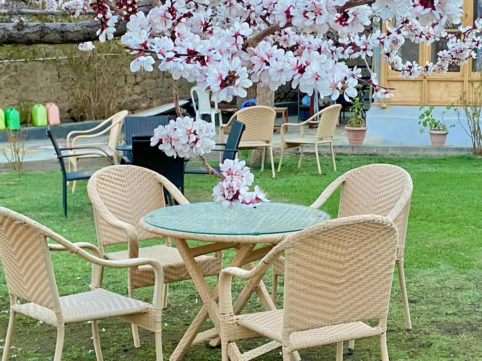 Hotel Palam Hills Leh Ngoại thất bức ảnh